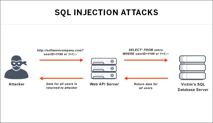 SQL vs. XXS Injection Attacks Explained – I Help Women In Tech